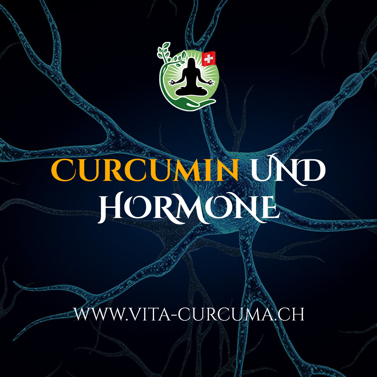 Curcumin & Hormone